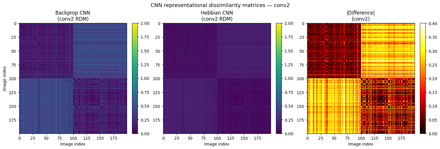 CNN representational dissimilarity matrices comparing backprop and Hebbian learning at the conv2 layer, with a difference heatmap